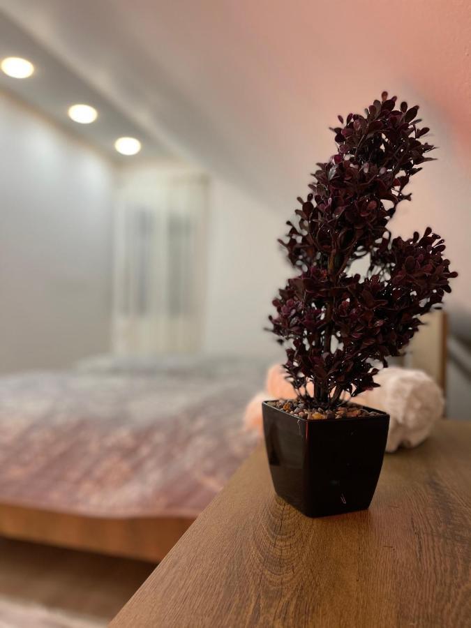 Luna Apartment نوفي بازار المظهر الخارجي الصورة